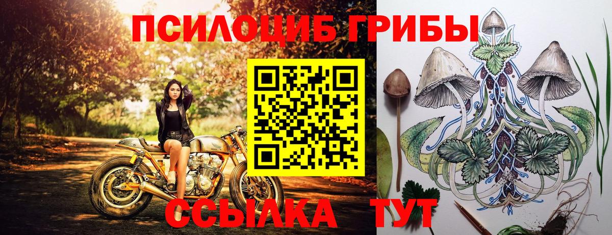 Псилоцибиновые грибы мицелий  Вход с VPN  Торжок  Псилоцибиновые грибы Psilocybe 