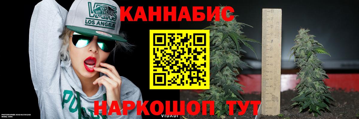 Торжок  Шишки марихуана семена  Каннабис тримм  Канабис Bruce Banner  Вход с VPN 